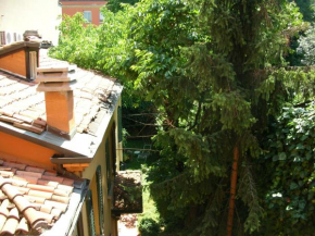 Nice Apartments in Downtown Bologna